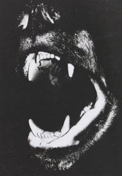 YOURTURN UnisexT-Shirt Con StampaWhite Donna T-shirt E Top YO12100BX-A11 -Yourturn 58bb31f561364d32afd21d152180aa2a scaled